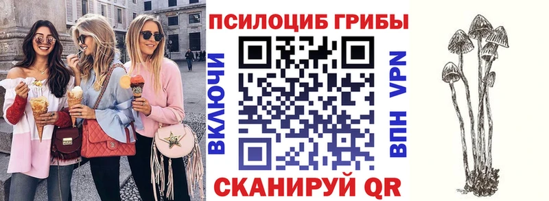 Псилоцибиновые грибы мицелий  Купить  Малгобек 